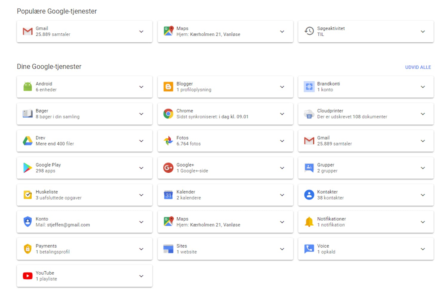 Google oversigt Google dashboard
